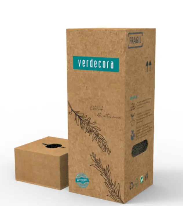 Packaging verdecora, proyecto de packaging ecológico