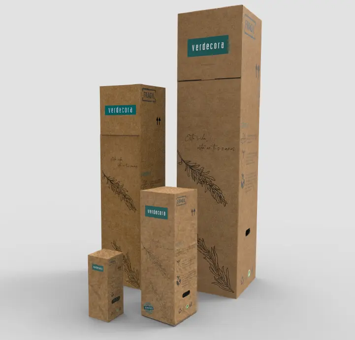 Planta con base cuadrada